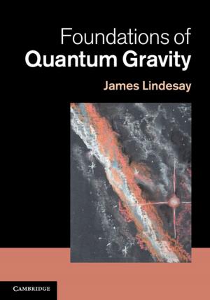 Cover of the book Foundations of Quantum Gravity by Roger G. Barry, Eileen A. Hall-McKim