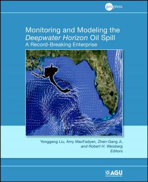 Cover of the book Monitoring and Modeling the Deepwater Horizon Oil Spill by Susan L. Cook, Kalani Kirk Hausman
