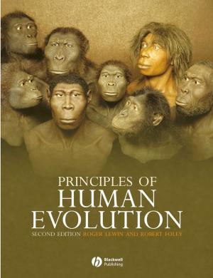 Cover of the book Principles of Human Evolution by Stuart A. McCrary