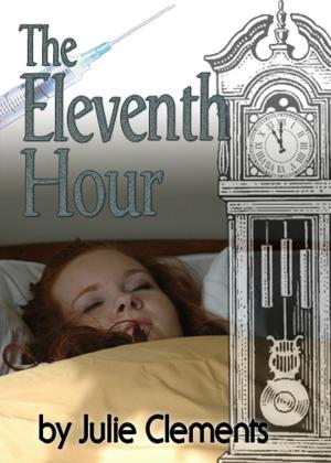 Cover of the book The Eleventh Hour by Chris Statham