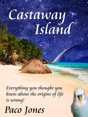 Cover of the book Castaway Island by Cyrano de Bergerac