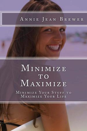 Book cover of Minimize to Maximize: Minimize Your Stuff to Maximize Your Life