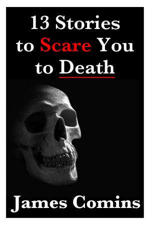 Cover of 13 Stories to Scare You to Death