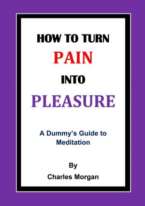Cover of How To Turn Pain Into Pleasure