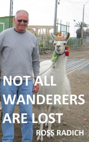 Cover of the book Not All Wanderers Are Lost by Randy Nightwalker