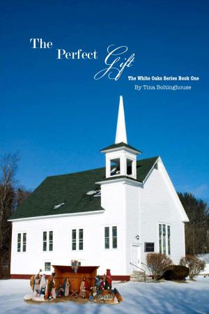 Cover of the book The Perfect Gift by R.R. Seeger