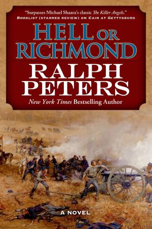 Cover of the book Hell or Richmond by Michael Shea