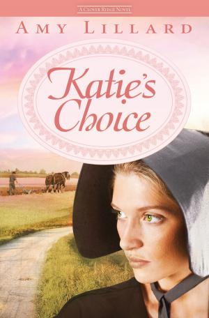 Cover of the book Katie's Choice by Amy Schisler