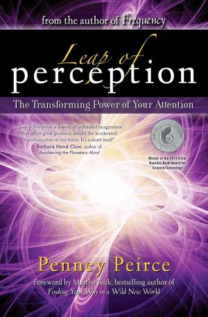 Cover of the book Leap of Perception by Raquel Cepeda