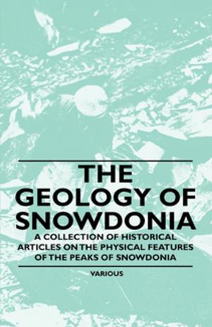 Cover of the book The Geology of Snowdonia - A Collection of Historical Articles on the Physical Features of the Peaks of Snowdonia by James M. Drew