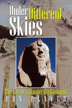 Cover of the book Under Different Skies by Warren Ravenscroft