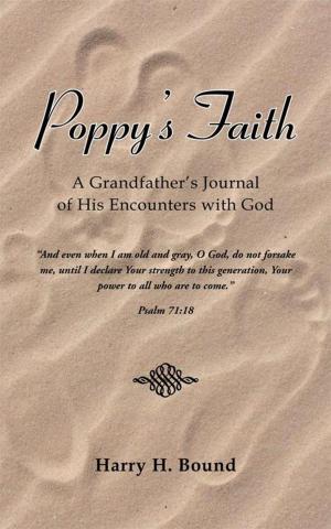 Cover of the book Poppy's Faith by Donna Fritz, Aunt Gerry Caldwell