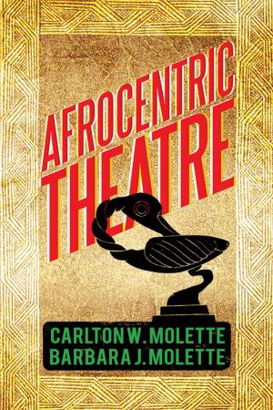 Cover of the book Afrocentric Theatre by Lewis E. Birdseye