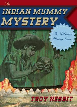 Book cover of The Indian Mummy Mystery