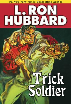 Cover of the book Trick Soldier by H.L. Anderson