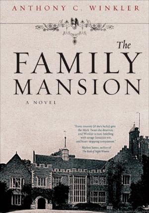Cover of the book The Family Mansion by Nina Solomon