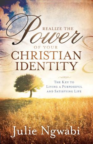 Cover of the book Realize the Power of Your Christian Identity by Don Colbert, MD