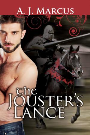 bigCover of the book The Jouster's Lance by 