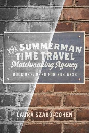 Cover of the book The Summerman Time Travel Matchmaking Agency by Steven M Schorr