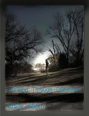 Book cover of Running Through Darkness