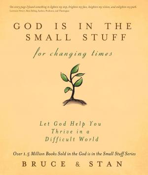 Cover of the book God Is in the Small Stuff for Changing Times by Stephen M. Miller