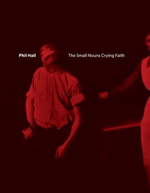 Cover of the book The Small Nouns Crying Faith by Pearl Pirie