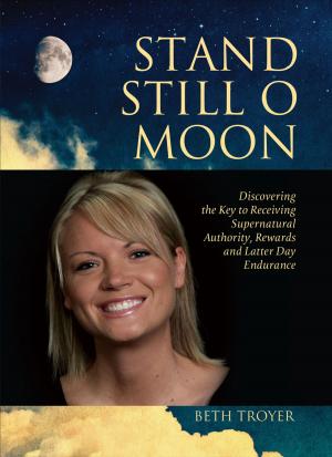 Cover of the book Stand Still O Moon by Timothy Cross