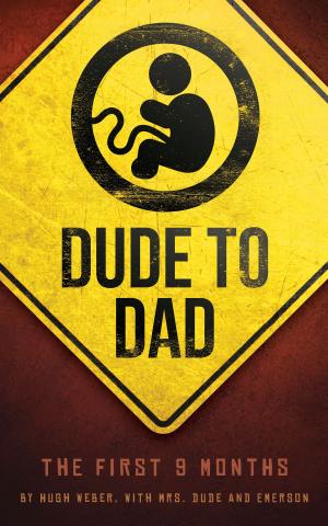 Book cover of Dude to Dad