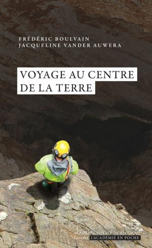 Cover of the book Voyage au centre de la Terre by Marc Verdussen