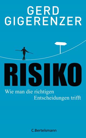 Cover of the book Risiko by Antonin Varenne