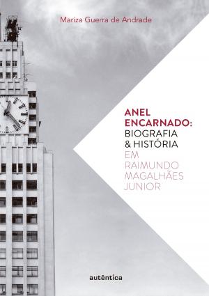 Cover of the book Anel encarnado by Gilson Iannini