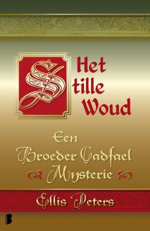 Cover of the book Het stille woud by Marian Husken