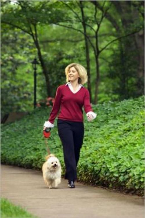 Cover of the book The Essential Guide to Walking For Fitness and Weight Loss by Eddie Campbell, Axel Publishing