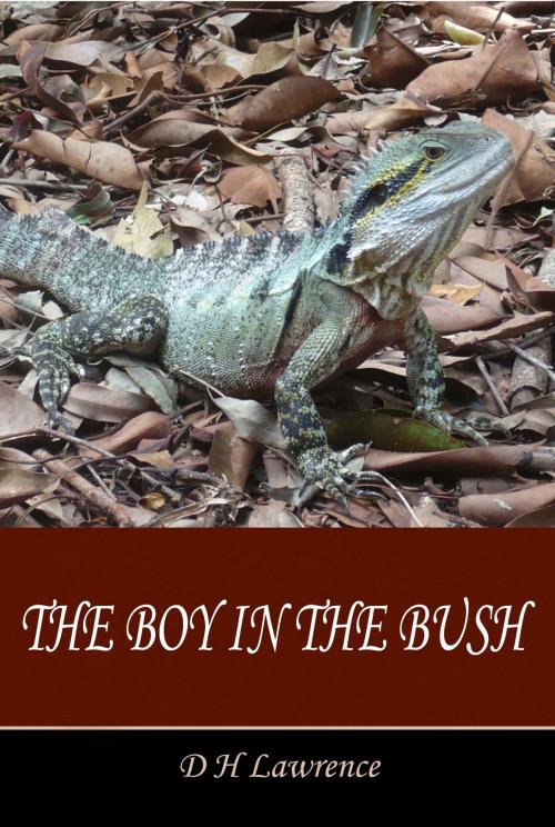 Cover of the book The Boy in the Bush by D H Lawrence, Blackthorn Press