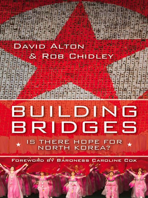 Cover of the book Building Bridges by David Alton, Rob Chidley, Lion Hudson