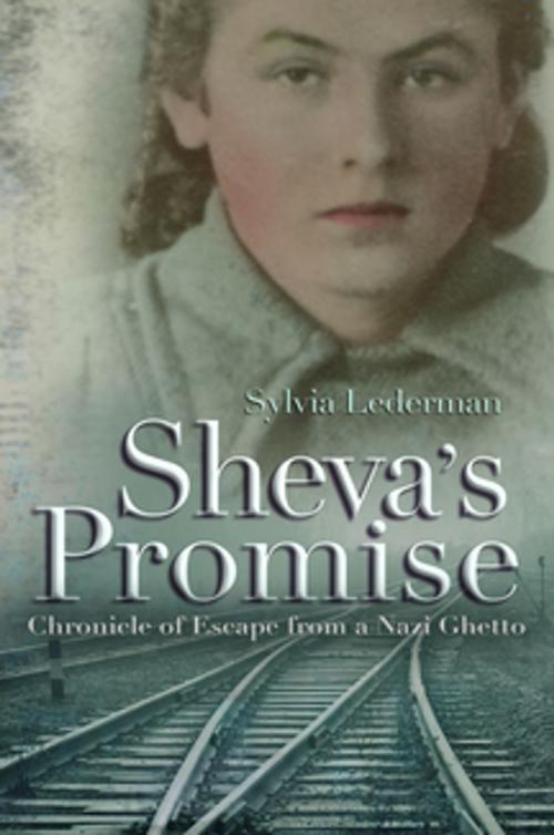 Cover of the book Sheva's Promise by Sylvia Lederman, Syracuse University Press