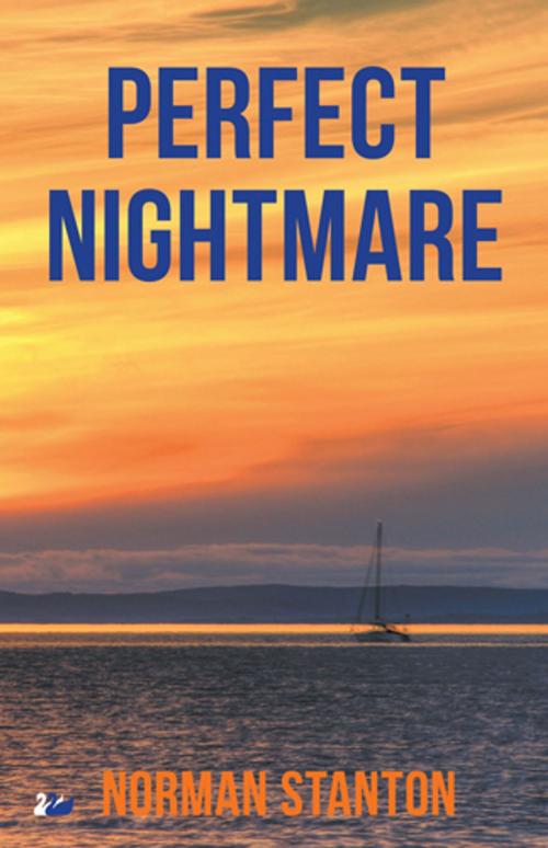 Cover of the book Perfect Nightmare by Norman Stanton, Anthem Press