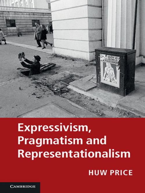 Cover of the book Expressivism, Pragmatism and Representationalism by Huw Price, Simon Blackburn, Robert Brandom, Paul Horwich, Michael Williams, Cambridge University Press