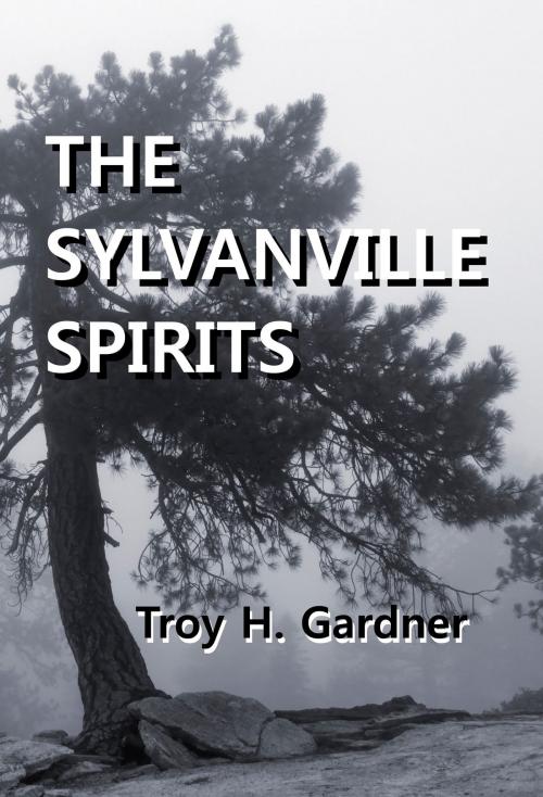 Cover of the book The Sylvanville Spirits by Troy H. Gardner, Troy H. Gardner