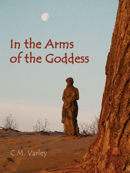 Cover of the book In the Arms of the Goddess by Christine Varley, Christine Varley