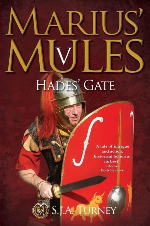 Cover of the book Marius' Mules V: Hades' Gate by S.J.A. Turney, S.J.A. Turney