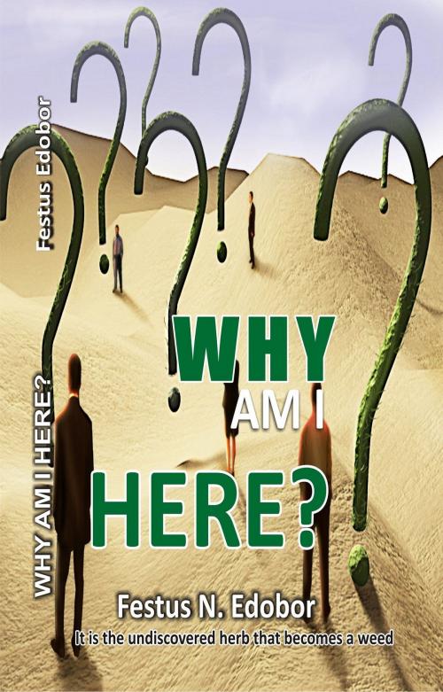 Cover of the book Why Am I Here? by Festus N Edobor, Festus N Edobor