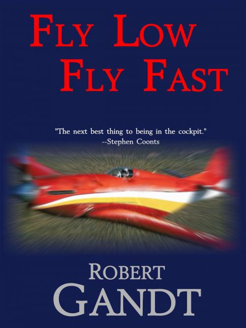 Cover of the book Fly Low Fly Fast by Robert Gandt, Robert Gandt