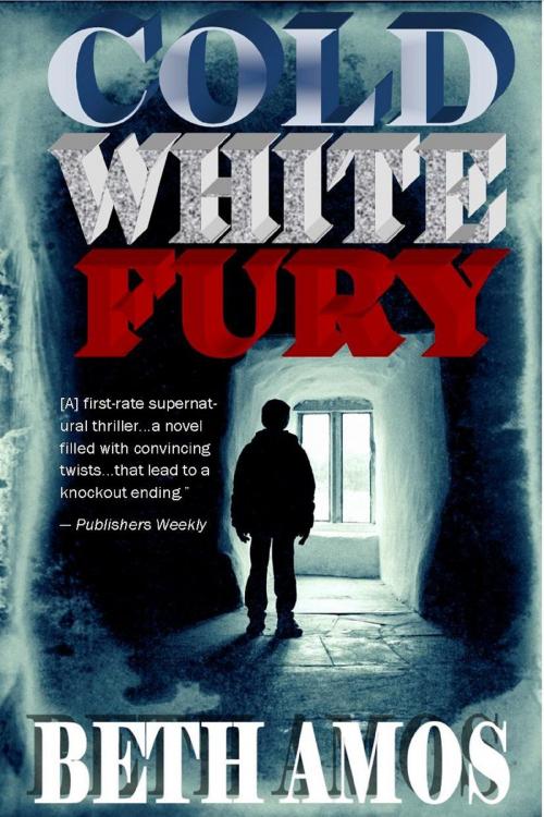 Cover of the book Cold White Fury by Beth Amos, Beth Amos