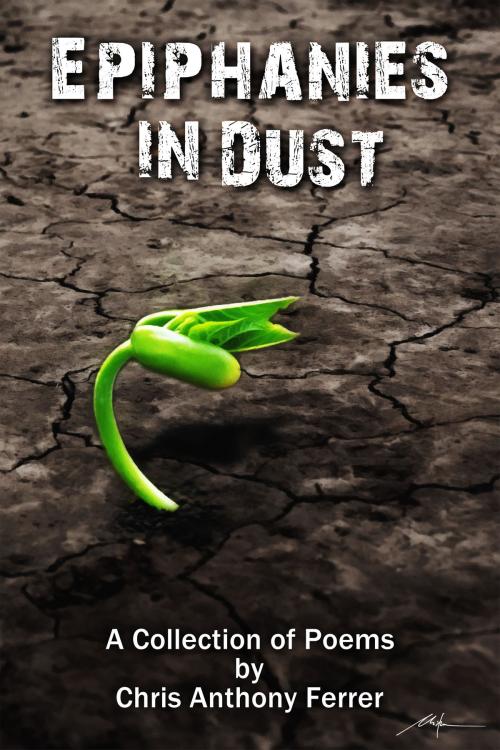 Cover of the book Epiphanies in Dust by Chris Anthony Ferrer, Chris Anthony Ferrer