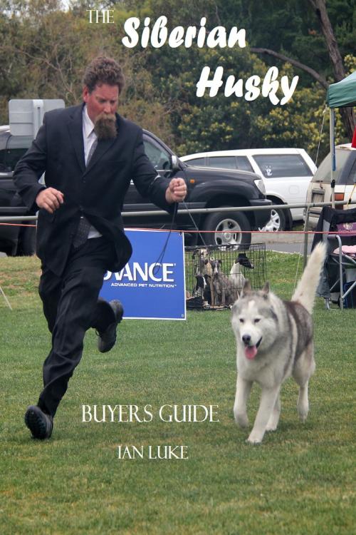 Cover of the book The Siberian Husky Buyer's Guide by Ian Luke, Ian Luke