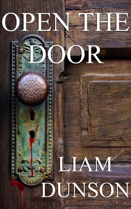 Cover of the book Open the Door by Liam Dunson, Liam Dunson