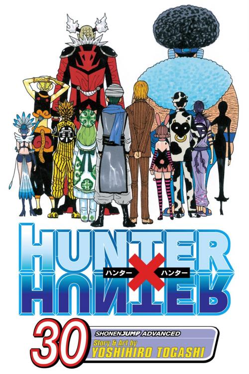 Cover of the book Hunter x Hunter, Vol. 30 by Yoshihiro Togashi, VIZ Media