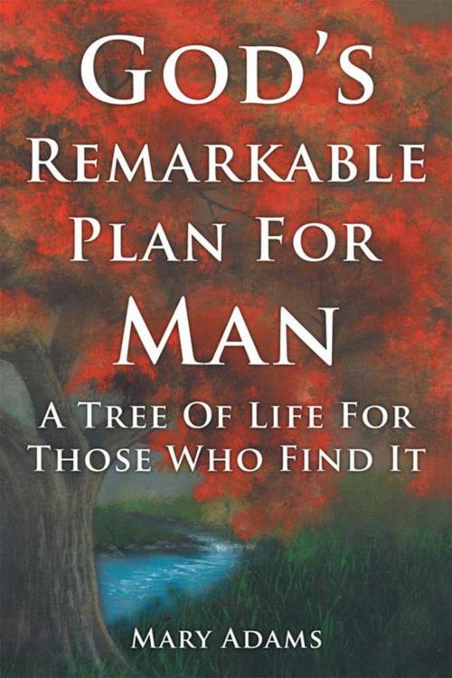 Cover of the book God's Remarkable Plan for Man by Mary Adams, WestBow Press