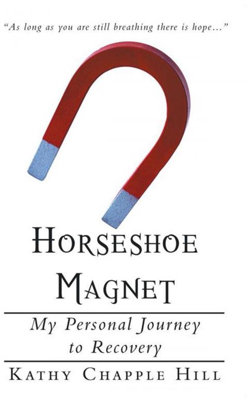 Cover of the book Horseshoe Magnet by Kathy Chapple Hill, WestBow Press